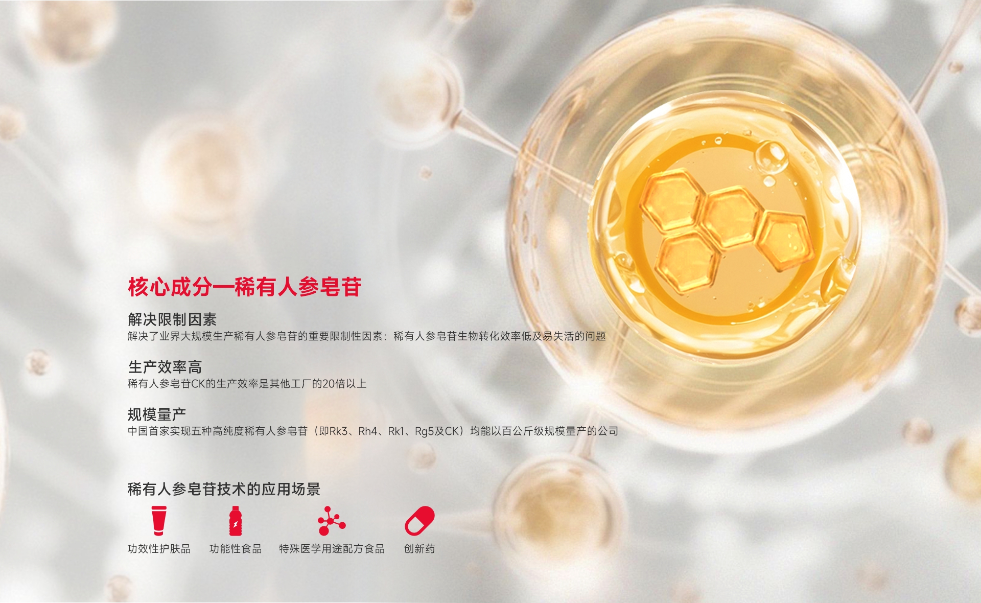 核心成分-稀有人参皂苷